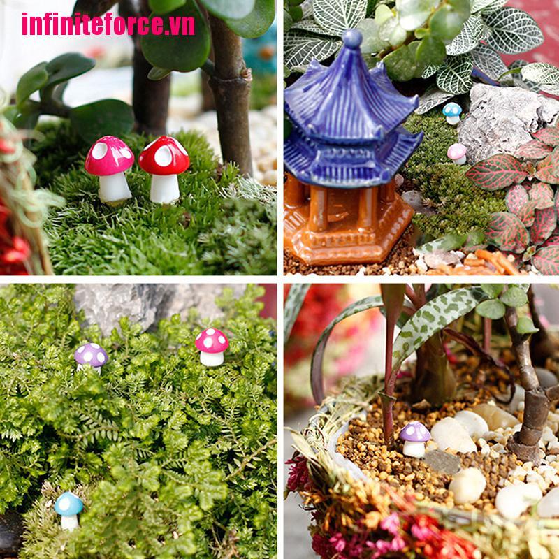 Bộ 10 / 20 Nấm Mini Dễ Thương Dùng Trang Trí