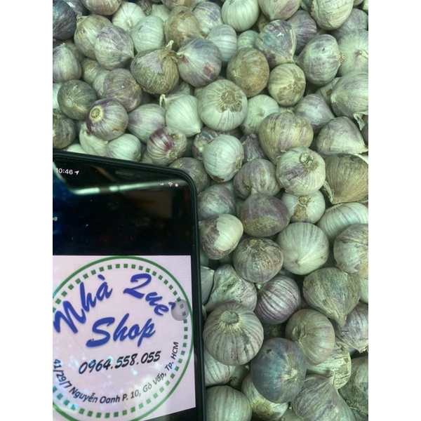 1kg Tỏi cô đơn Phan Rang làm tỏi đen size to (có bỏ sỉ) | BigBuy360 - bigbuy360.vn