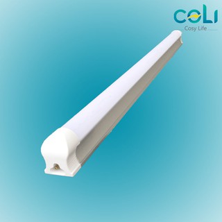 Tuýp Led T8 9W dài 0,6m