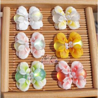 Hoa bột ôm đá mắt mèo đính móng 12HA