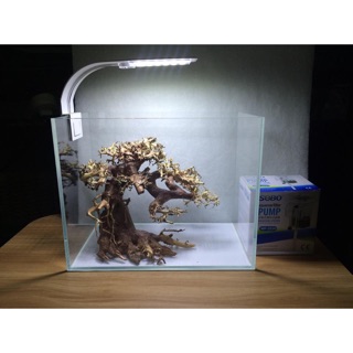 Đèn Led X5 Kẹp Cho Bể Nhỏ