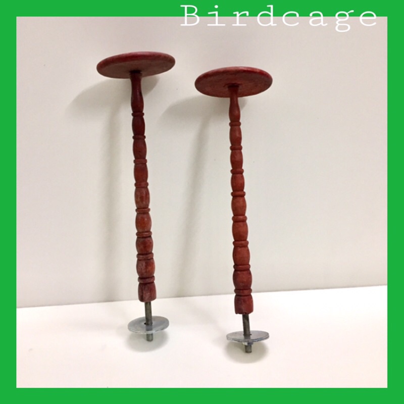 [HOT] NẤM CẦU ĐỂ CHIM ĐẬU