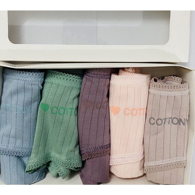 [Hộp 5] Quần Lót Nữ Cotton Cao Cấp - Quần Chíp Nữ Cotton Co Dãn 4 Chiều FreeSize Dưới 62kg