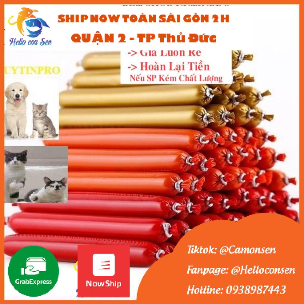 [Mã 11FMCGSALE1 giảm 10% đơn 250K] XÚC XÍCH chó mèo bò - gà - vịt dinh dưỡng siêu ngon