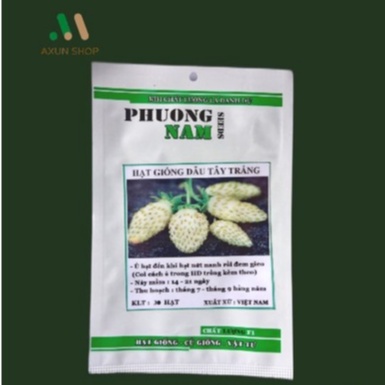 Hạt giống dâu tây trắng chất lượng F1 túi 30 hat