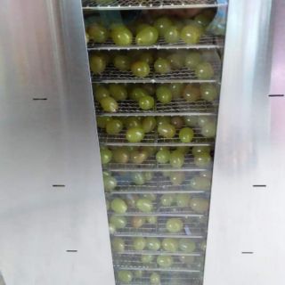 Nho khô Ninh Thuận