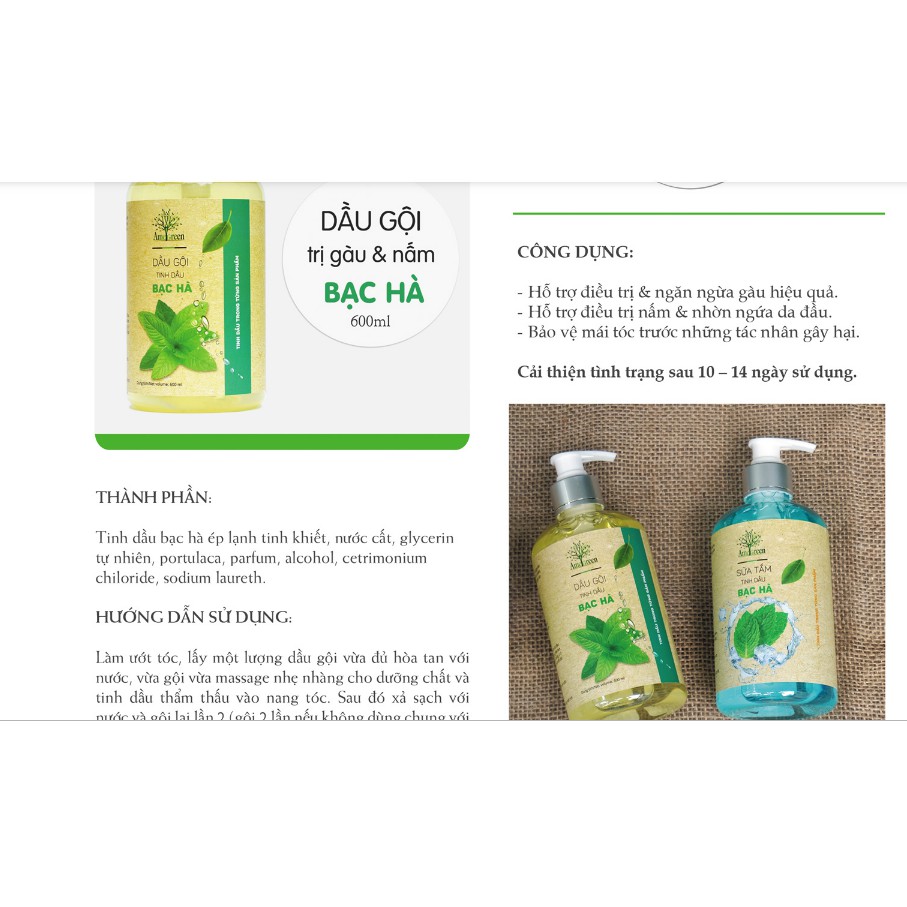 Dầu gội Bạc Hà trị gàu & nấm AmeGreen 600ml (NH3470.)