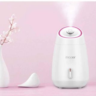Combo 20 máy xông mặt hoa quả tươi giá sỉ tphcm