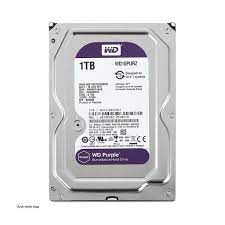 Ổ Cứng HDD 500GB / 1TB / 2TB Green/ Purple Hàng Công Ty - Bảo hành 24 tháng