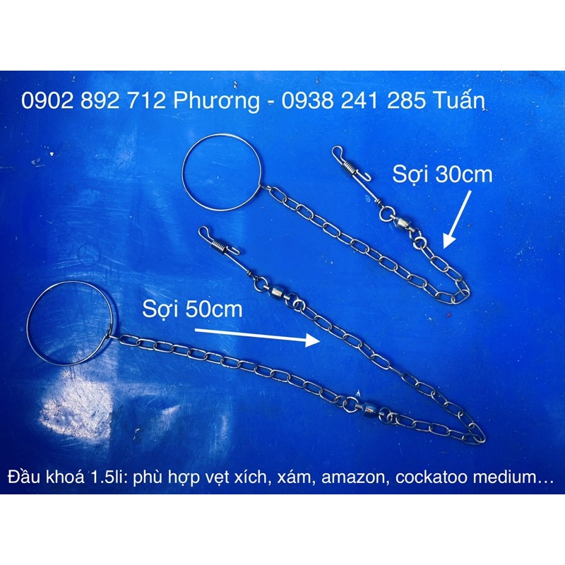 Xích chân cho vẹt xám và vẹt xích