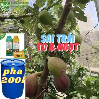 Phân bón nhập khẩu từ Pháp chuyên dùng cho Sung mỹ và rau sạch trồng tại nhà thương hiệu Biofresh đà lạt