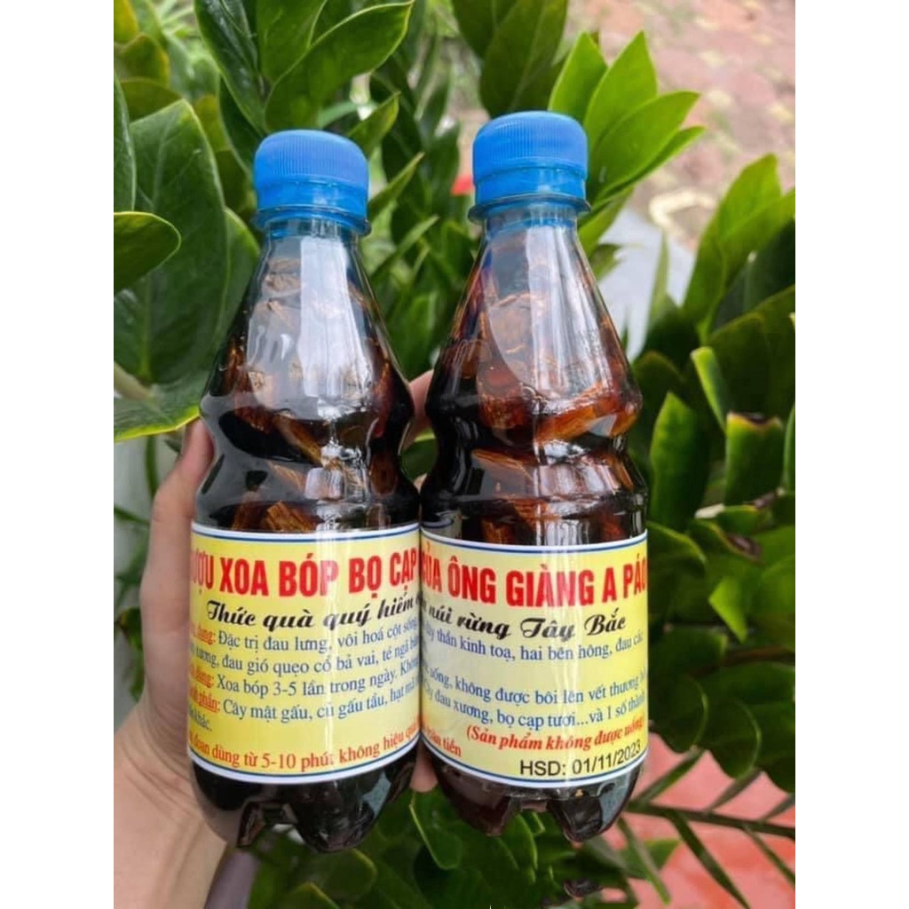Rượu Xoa Bóp Bọ Cạp , Thức Qùa Qúy Hiếm Của Núi Rừng Tây Bắc - Đặc Sản Tây Bắc - Đặc Sản 27