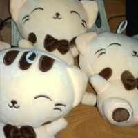 MÈO BÔNG MẶT BỰ 20cm