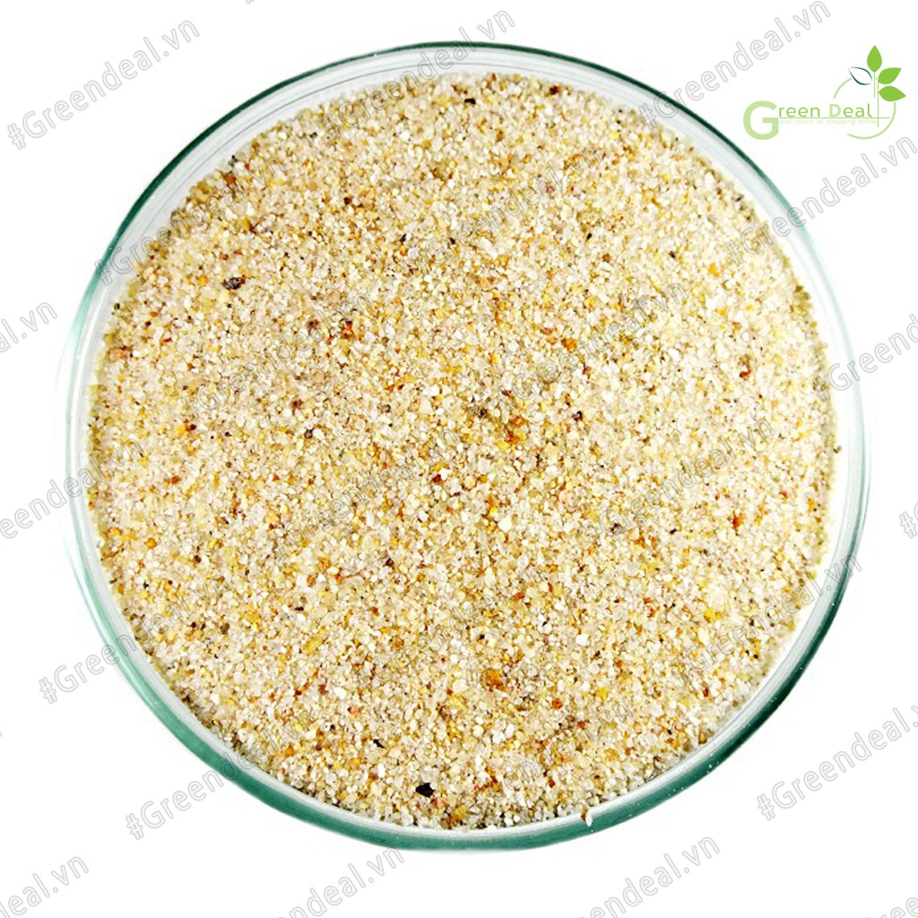 Cát vàng  | Chuyên dụng trang trí hồ cá thủy sinh