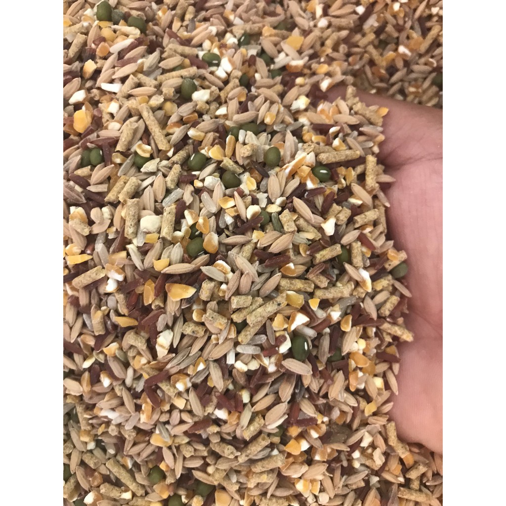 2kg Ngũ Cốc Thực Thẩm Dinh Dưỡng Dành Cho Gà