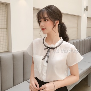 Áo tơ cổ bèo nơ