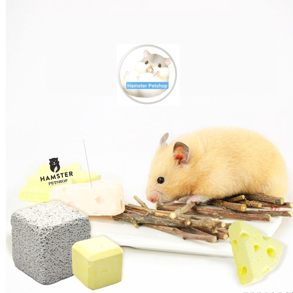 Đá mài răng trái cây cho Hamster , sóc , bọ