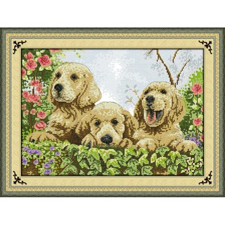 Tranh Thêu Chữ Thập Ba Chú Chó RY1228 (KHÁCH TỰ THÊU) KT:50X57CM