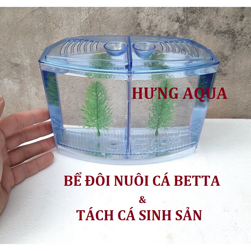 Bể cá, bể nuôi cá betta, cá chọi 2 ngăn 2 trong 1 chất liệu mica siêu trong, bền đẹp an toàn, bể cá để bàn