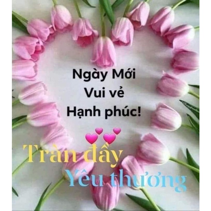 Quà 💝💝💝💝🎁🎁🎁🎁