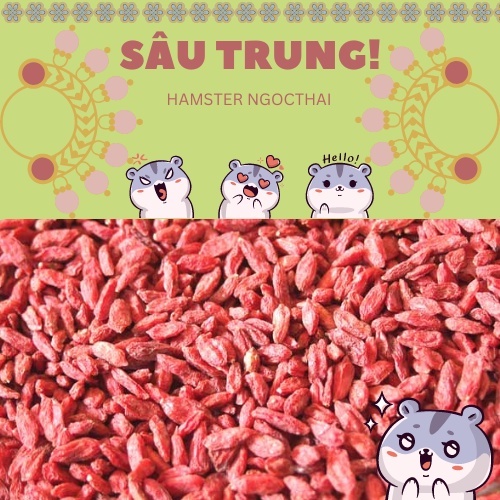 Kỷ tử sấy khô