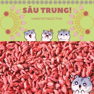 Kỷ tử sấy khô