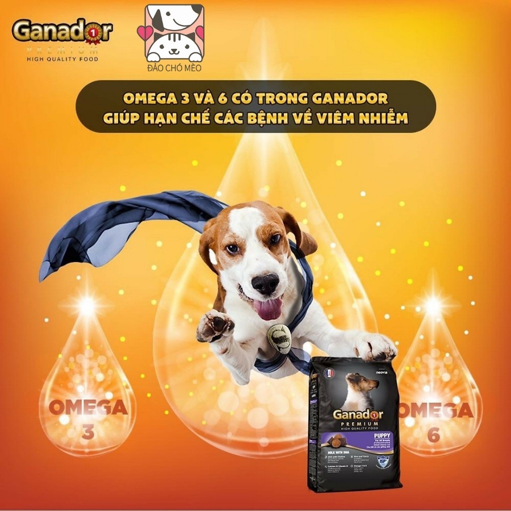 Thức ăn cho chó Gói 3KG Thức ăn cho chó giàu dinh dưỡng mượt lông tăng cân Ganador - FIB's - adult - puppy- Đảo Chó Mèo