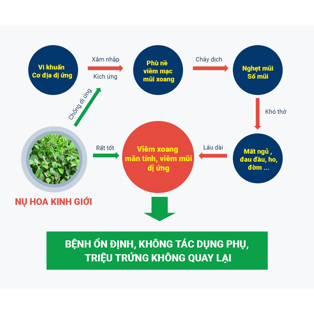 Xoang Bách Phục- Hỗ Trợ Điều Trị Viêm Xoang mạn tính, Giảm Dị Ưng, Sổ Mũi Theo Mùa