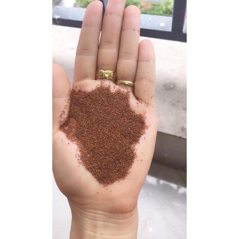 Hạt Đình Lịch ( mặt nạ ngũ hoa hạt nhỏ gói 1kg)