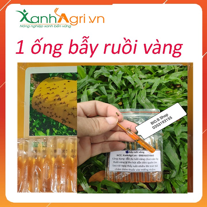 1 ống thuốc bẫy ruồi vàng