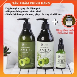 Bộ dầu gội Dầu xả AMLA kích thích mọc tóc và ngăn rụng tóc