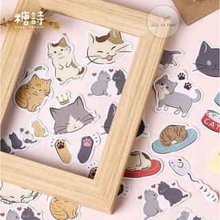 【B1.5】 HỘP 45 STICKER CAT DIARY