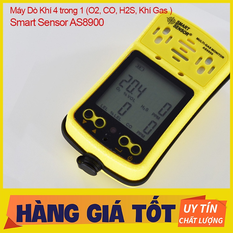 Máy Dò Khí 4 trong 1 (O2, CO, H2S, Khí Gas ) Smart Sensor AS8900