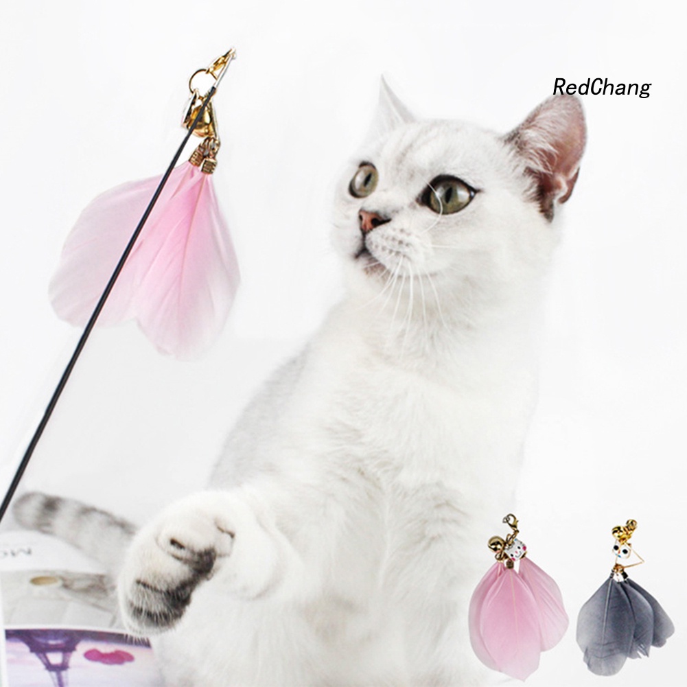 Gậy Đồ Chơi Gắn Lông Vũ Cho Mèo