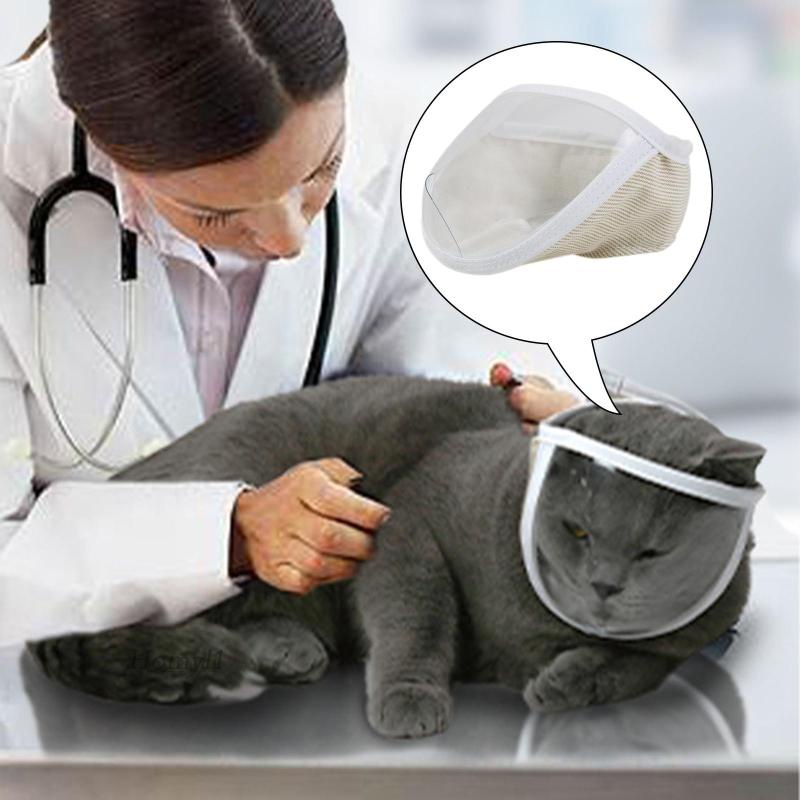 Mặt Nạ Mèo Trong Suốt Chống Cắn Tiện Lợi Dành Cho Mèo