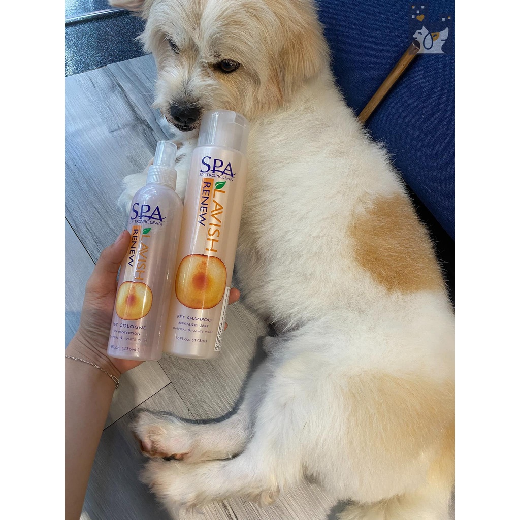 Sữa tắm dưỡng lông chó mèo Renew Spa Tropiclean hương mận trắng