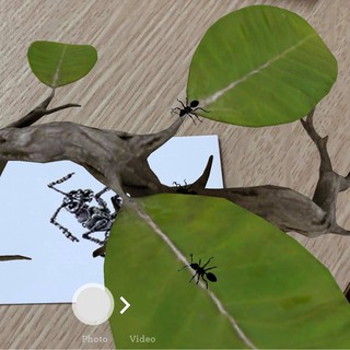 Thẻ học tiếng anh 4D