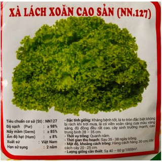 Xà lách xoăn (diếp xoăn) cao sản