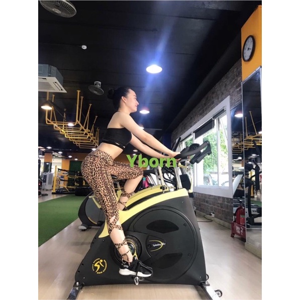 Quần thể thao buộc dây tập yoga, tập múa Yborn