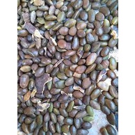 Hạt Bồ Kết 100g (mua 3 tặng 1)