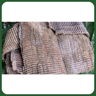 Đỗ Trọng Khô Sạch, Chất Lượng 100gr
