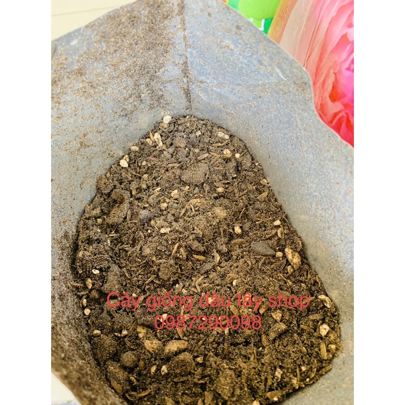 Đất trộn sẵn chuyên trồng kiểng lá Monstera, anthurium,melano, pertusam...gói 6,5dm3 nặng ~1,8-2,2kg/gói