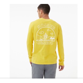 Áo tshirt nam aeropostale
