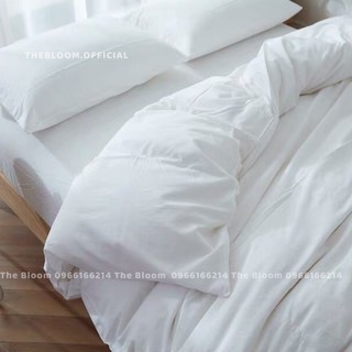 Set Chăn Ga Gối Cotton Poly 4 Món - Trắng Trơn