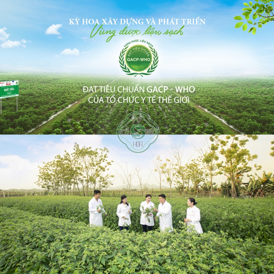 Xịt dưỡng da ban đêm tinh chất cam Ấn Độ Cổ dược Kỳ Hoa - Cung cấp dưỡng chất., tạo độ mềm mịn cho da THÀNH PH | BigBuy360 - bigbuy360.vn