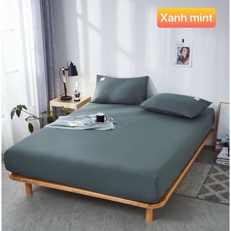 [Mã BMTTC60 giảm đến 60K đơn 50K] Bộ Ga Chun Kèm 2 Vỏ Gối Đầu Cotton Tc Hizun Vintage