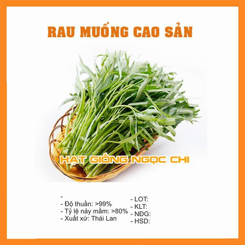 Hạt Giống Rau Muống Cao Sản - 50Gr