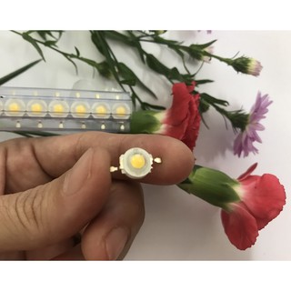 Combo 20 Led Luxeon 1W SenYang, không đế