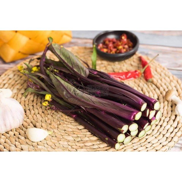 Hạt giống cài ngồng đỏ sanzi