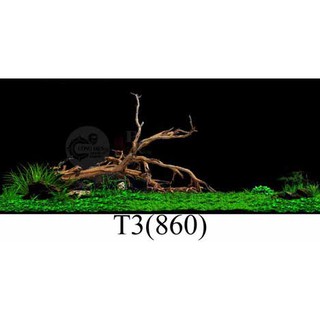 Decal dán hồ cá - Phong cách Tông đen  , mẫu gỗ lũa , chất liệu 3d cao cấp , có keo sẵn  , nhiều kích thướt